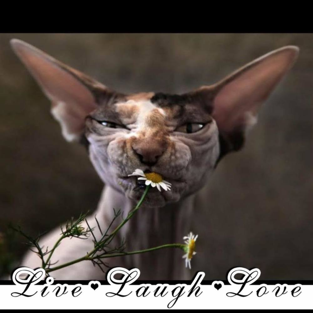 Meet your Posher, Juli